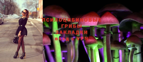 мдма Гусиноозёрск