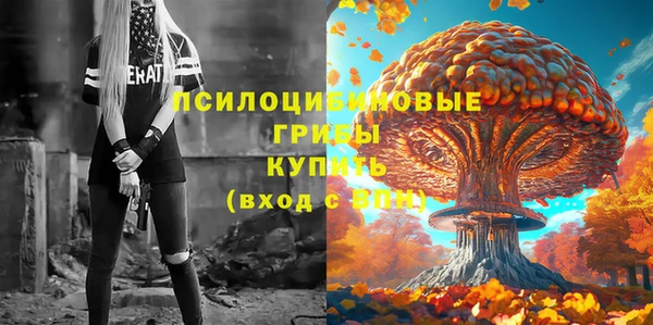 прущие крисы Гусь-Хрустальный
