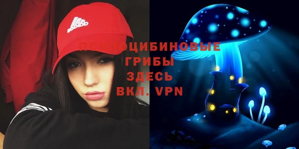 прущие крисы Гусь-Хрустальный