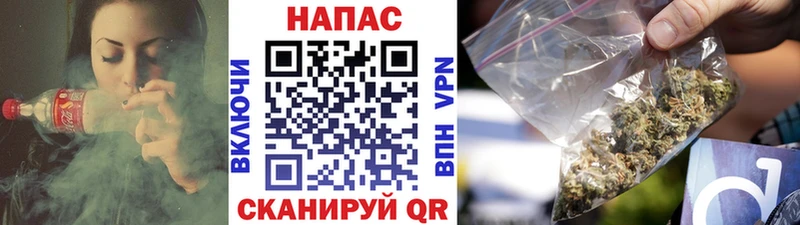 Купить закладки  Махачкала  Канабис SATIVA & INDICA 